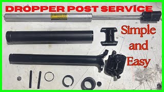 TranzX Dropper Post Service  how to service a dropper post ASMR [upl. by Inohs]