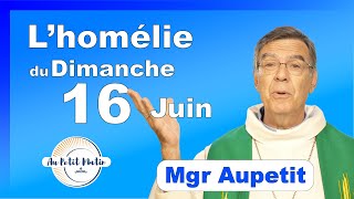 Évangile et homélie du Dimanche 16 Juin  Avec Mgr Aupetit [upl. by Baelbeer]