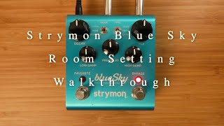 Room Reverb  Strymon Blue Sky In Depth Walkthrough No Talking [upl. by Misab484]