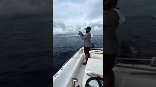 Big tuna snapped the line 😮‍💨 music nature fishing sealife4k fish automobile trending [upl. by Mallin]