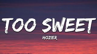 Hozier  Too Sweet Lyrics [upl. by Ahsineg]