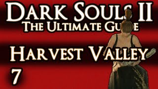 DARK SOULS 2  THE ULTIMATE GUIDE  PART 7  HARVEST VALLEY [upl. by Enillebyam]