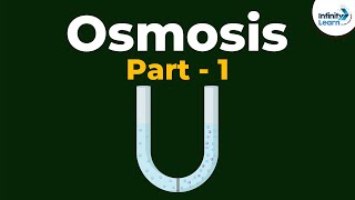 What is Osmosis  Part 1  Cell  Infinity Learn [upl. by Nika]