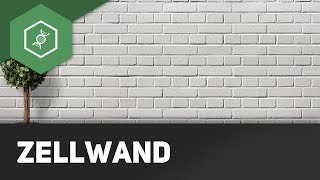 Zellwand [upl. by Eilac]