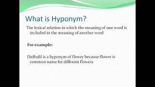 WHAT IS HYPONYMWHAT IS COHYPONYM [upl. by Adnovad]