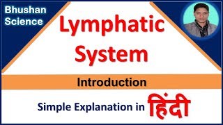 Lymphatic System Introduction simple explanation in Hindi  Bhushan Science [upl. by Nivra]