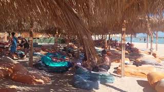 Adventure activities on orange bay Beach  Giftun island Hurghada Snorkeling Trip [upl. by Rafael]