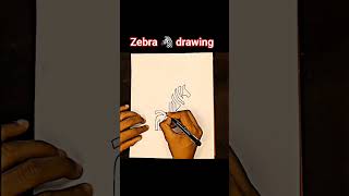 how to draw zebra 🦓 drawing  zebradrawing zebravideo shorts [upl. by Francois]