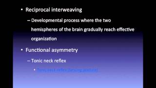 Gesells maturation theory [upl. by Leonelle56]