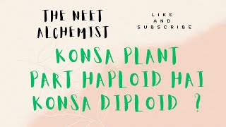 Ploidy of different plant parts now no more confusion Konsa haploid hai Konsa diploid [upl. by Nerhe110]