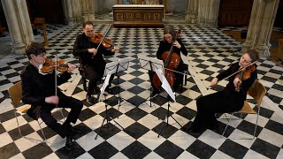 The Mozartists  Mozart and Haydn Quartets [upl. by Amleht]