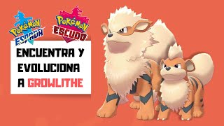 Como conseguir a GROWLITHE en POKEMON y su evolucion Arcanine  CobayasGamer [upl. by Adelice]