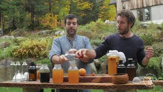 Lembouteillage  Extrait de la formation «Faire son kombucha à la maison» [upl. by Nnairda551]