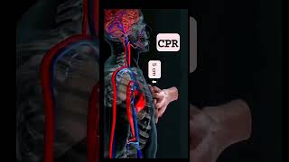 CPR physiology physio doctor doctors nursingstudent nursing [upl. by Mycah598]