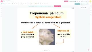 Bacteriologie  Le Treponema Pallidum Syphilis FMPC [upl. by Faucher]