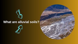 What are alluvial soils [upl. by Mur]