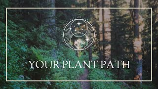 Your Plant Path [upl. by Nujra]