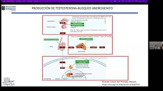 Hormonoterapia en Cáncer de Próstata de Riesgo Alto revisión de evidencia [upl. by Macintyre]