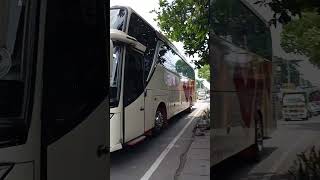 Telolet Basuri Bus Kalisari Dholpin [upl. by Yrrad412]