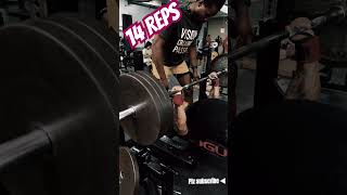 14 Reps bench chestday chest barbell benchpress chestexercises chestworkout youtubeshorts [upl. by Thilda]