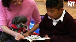 Dog Listens To Kids Read So They Can Learn Without Getting Embarrassed [upl. by Ahsiele]