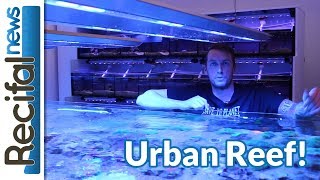 VLOG14 Vince Z  je passe à Urban Reef [upl. by Marthe]