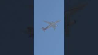 Commercial Plane Taking Off Dairy Mart Raceway 11232024 [upl. by Guenna]