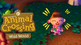 Animal Crossing Wild World  Little Building Gnome [upl. by Seidnac138]