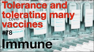 Immune 78 Tolerance and tolerating many vaccines [upl. by Alyworth]