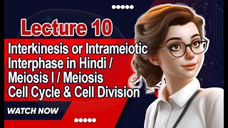 Interkinesis or Intrameiotic Interphase in Hindi  Meiosis I  Meiosis II Cell Cycle amp Cell Division [upl. by Ydnys]