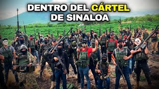 El Cártel de Sinaloa desde adentro así funciona la organización criminal más PODEROSA del mundo [upl. by Herates208]