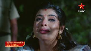 Paluke Bangaramayena  Promo  1st Apr 2024  Star Maa Serials  MonSat at 130 pm  Star Maa [upl. by Elohc]