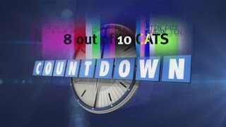 8 Out of 10 Cats  Does Countdown Special 6 16 August 2013 HD [upl. by Hubble]