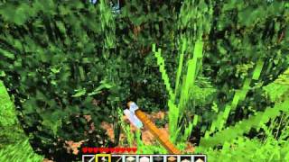 Lets Play Minecraft 118 Deutsch HD  Wolle Holz amp Spitzhacke im Kopp [upl. by Barb278]