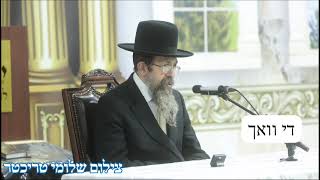 Toldos Yehuda Stitchin Rebbe 9 Av [upl. by Nnairet]