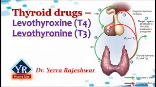 Thyroid drugs  Thyroxine amp Thyronine  YR Pharma Tube  Dr Yerra Rajeshwar  Dr YR [upl. by Dnamron]