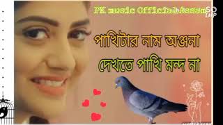 pakhitar Nam Onjona dekhte pakhi Mondo na new songPK music Official Assam [upl. by Zelazny718]