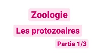 Zoologie L2  les protozoaires SNV [upl. by Airreis]