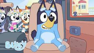 Road Trip Moments 🚗 💨  Travel Fun with Bluey and Bingo  Bluey [upl. by Aleemaj758]