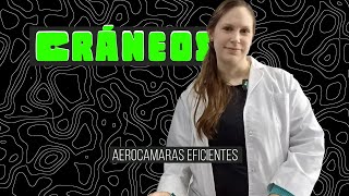 💀 CRÁNEOS  AEROCÁMARAS EFICIENTES  OPTIMIZAR EL DISEÑO DE LAS VÁLVULAS CON YAMILA DE CHARRAS [upl. by Eleanore]