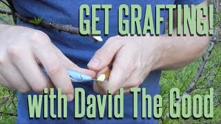 Get Grafting Instructional with David The Good learn 3 easy grafts amp lose your fear of grafting [upl. by Lindley]