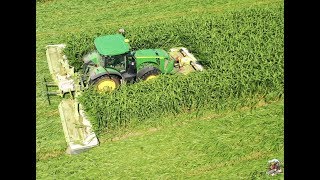 Mowing Sorghum Sudan Grass near Payne Ohio [upl. by Kehsihba]