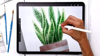 Paint a Watercolor Snake Plant in Procreate [upl. by Ahsinod178]