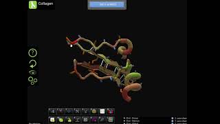 Foldit Educational Mode Tutorial Collagen [upl. by Anaitsirc530]