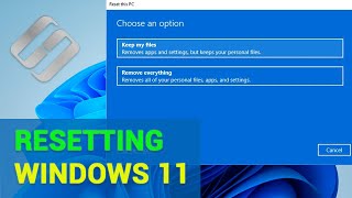 👉 How to Recover Data After Resetting Windows 11 [upl. by Ylenaj]