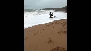 Dog walkers soaked Storm Ashley failarmy soaking funnyshorts mountainbikingfat [upl. by Vidal325]