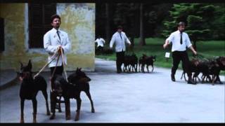 Dobermans in movie  3  Доберманы в кино [upl. by Wilterdink]