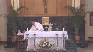 St Petronille LiveStream Mass Friday  Nov 1 2024 All Saints Day [upl. by Ax]