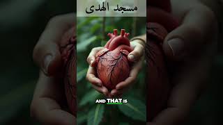 Unleashing the Power of Your Heart for a Fulfilling Life by Ustadh Ali Altamimy [upl. by Viveca]