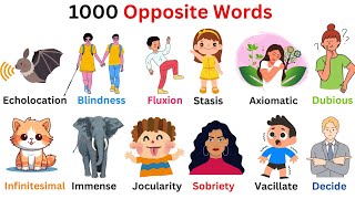 Opposite words  Opposite words in English  Opposites  part 3  Antonyms words [upl. by Hendel]